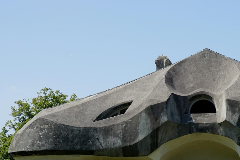 The roof of an expressionist organic building