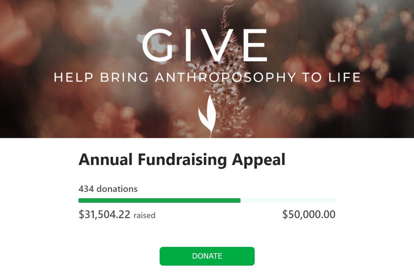 Rudolf Steiner Archive Annual Fundraiser - Give Now!