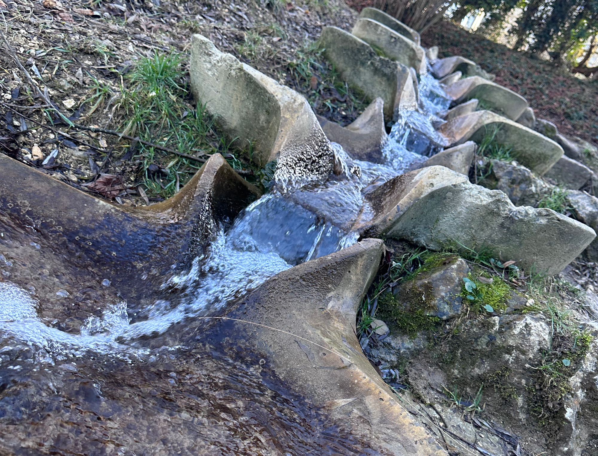 What Makes a Spiritual Path Healthy or Unhealthy?